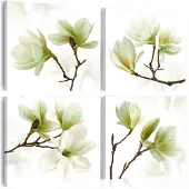 Artgeist Admiration Of Magnolia taulusetti