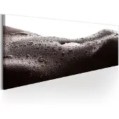 Artgeist Erotic Landscape taulu