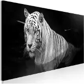 Artgeist Shining Tiger Black And White Narrow taulu