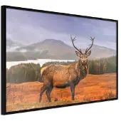 Artgeist Majestic Deer juliste