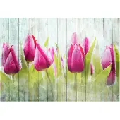 Artgeist Tulips On White Wood fototapetti