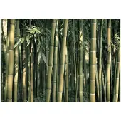 Kärkkäinen Artgeist Bamboo Exotic fototapetti