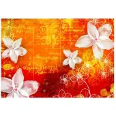 Artgeist Floral Notes Ii fototapetti