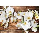Artgeist Forest Orchid fototapetti