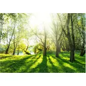 Kärkkäinen Artgeist Sunny May Day itseliimautuva fototapetti