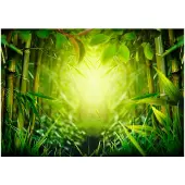 Artgeist Forest fairy itseliimautuva fototapetti