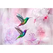 Kärkkäinen Artgeist Colourful Hummingbirds (Purple) fototapetti