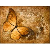 Artgeist butterfly (sepia) fototapetti