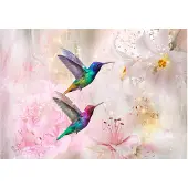 Kärkkäinen Artgeist Colourful Hummingbirds (Pink) fototapetti