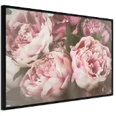 Artgeist Pastel Peonies juliste