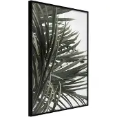 Artgeist Little Tropics juliste