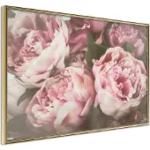 Artgeist Pastel Peonies juliste