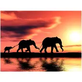 Artgeist elephants: family fototapetti