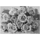 Artgeist A dozen roses fototapetti