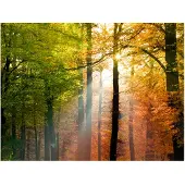 Artgeist Kaunis syksy fototapetti