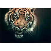 Artgeist Bengal Tiger fototapetti