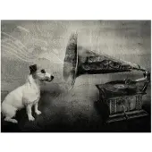 Artgeist Dog's melodies fototapetti