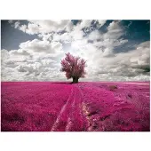 Artgeist Magenta niitty fototapetti
