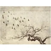 Artgeist Flock of birds fototapetti