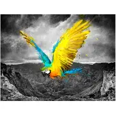 Artgeist Exotic parrot fototapetti