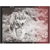 Artgeist wolf - photo fototapetti