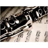 Artgeist Clarinet and music notes fototapetti