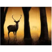 Artgeist Deer in his natural habitat fototapetti