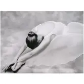Artgeist photo: ballerina fototapetti
