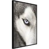 Artgeist Azure Eye juliste