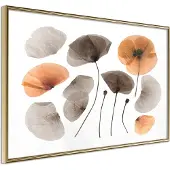 Artgeist Dried Poppies juliste