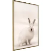 Artgeist Curious Rabbit juliste