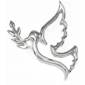 Silver Bar 8829 riipus