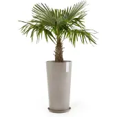 Ecopot's Amsterdam korkea ruukku
