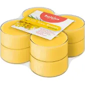 Bolsius True Scents 8 kpl maxi lämpökynttilä