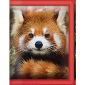 DELUXEBASE 3D LiveLife Wallets Baby Red Panda lompakko