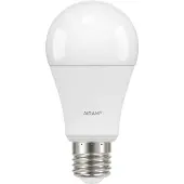 Airam Normaali LED Kasvilamppu E27 9W/840 1100lm