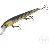 Nils Master Invincible 15 cm vaappu