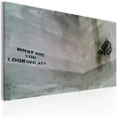 Artgeist Mitä Sinä Tuijotat? (Banksy) taulu