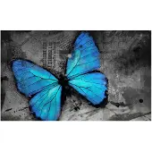 Artgeist Alated fototapetti