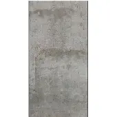 Artgeist Gray Pigeon fototapetti