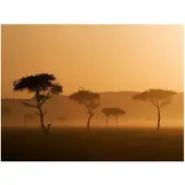 Artgeist Massai Mara fototapetti