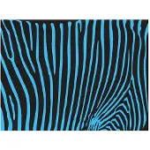 Artgeist Zebra pattern (turquoise) fototapetti