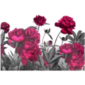 Artgeist Lush Meadow fototapetti
