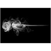 Artgeist rose (smoke) fototapetti