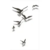 Artgeist Free Birds fototapetti