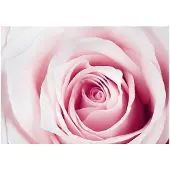 Kärkkäinen Artgeist Rose Maze fototapetti