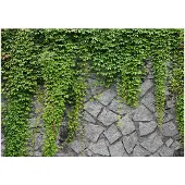 Kärkkäinen Artgeist Green Wall fototapetti