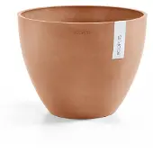 Ecopot's Antwerp ruukku