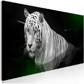 Artgeist Shining Tiger Green Narrow taulu