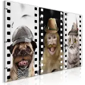 Artgeist Funny Pets (Collection) taulusetti